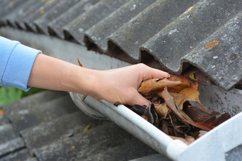 Gutter Cleaning Service